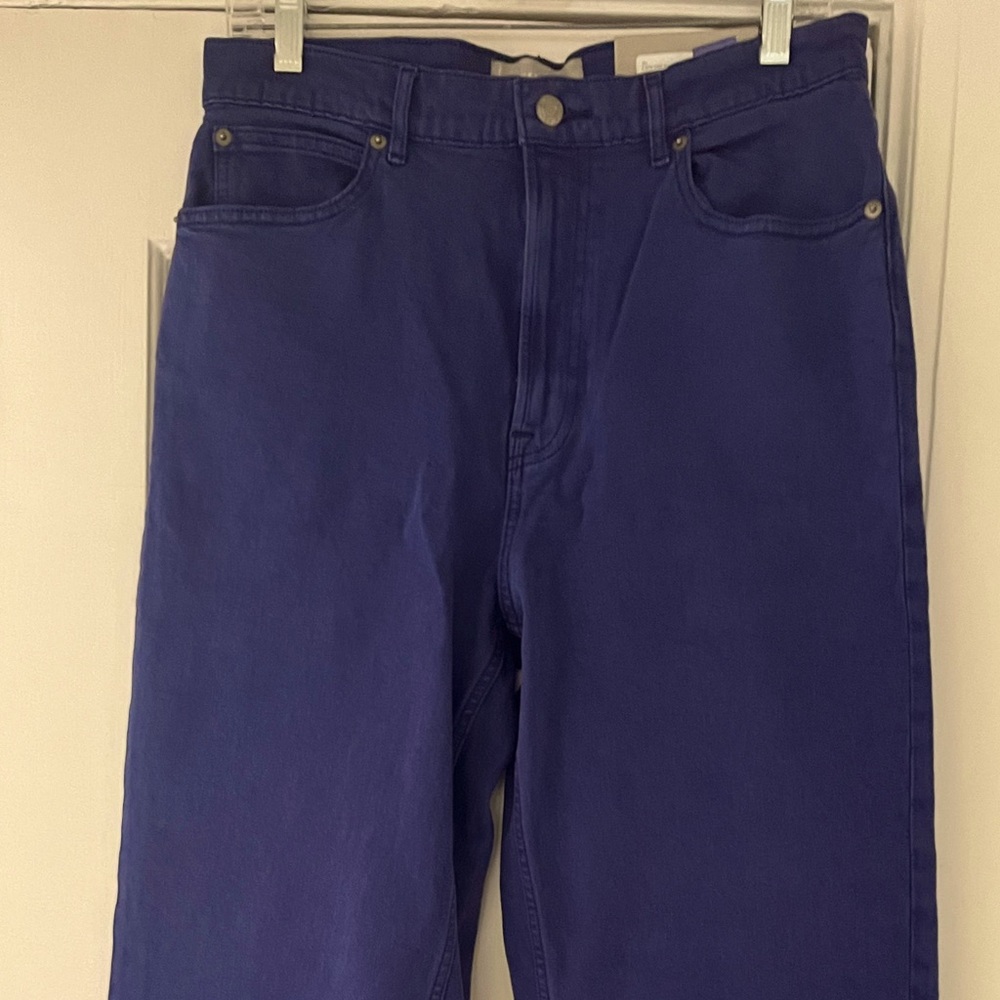 Everlane The Way High Jean 30 Tall purple/blue